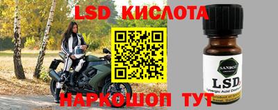 spice Кимры