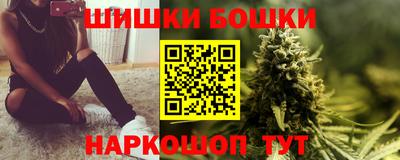 крисы Кингисепп