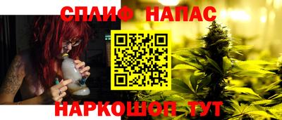 крисы Кингисепп
