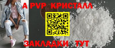 крисы Кингисепп