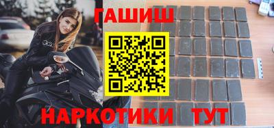 крисы Кингисепп