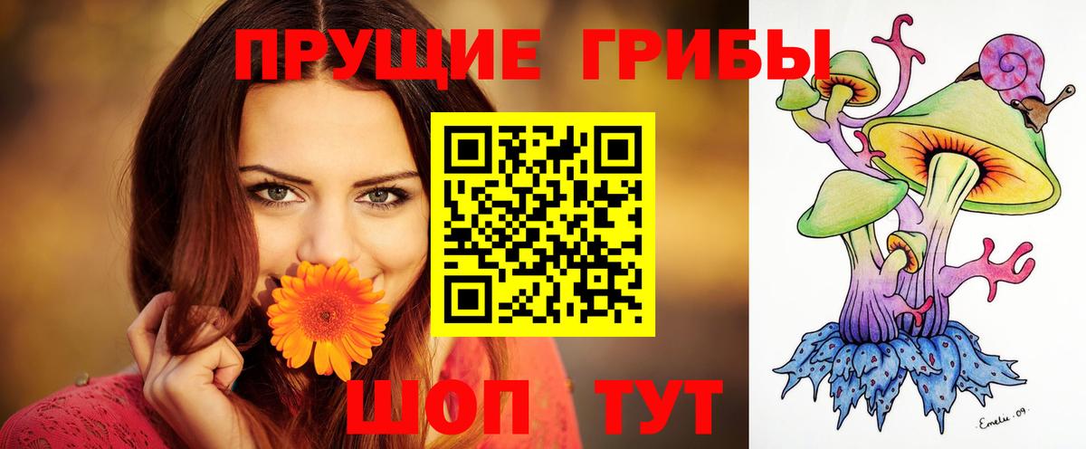 Псилоцибиновые грибы мицелий Бутурлиновка